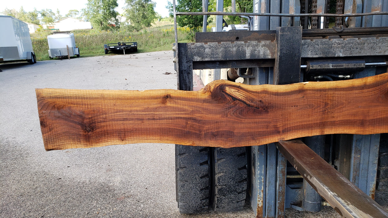 Walnut, American #8031 (LA) - 1-1/2" x 8" to 12" x 128" - FREE SHIPPING within the Contiguous US. freeshipping - Big Wood Slabs