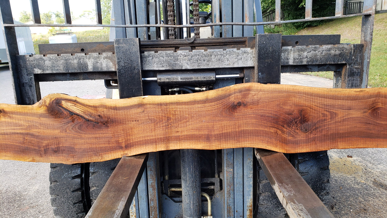 Walnut, American #8031 (LA) - 1-1/2" x 8" to 12" x 128" - FREE SHIPPING within the Contiguous US. freeshipping - Big Wood Slabs