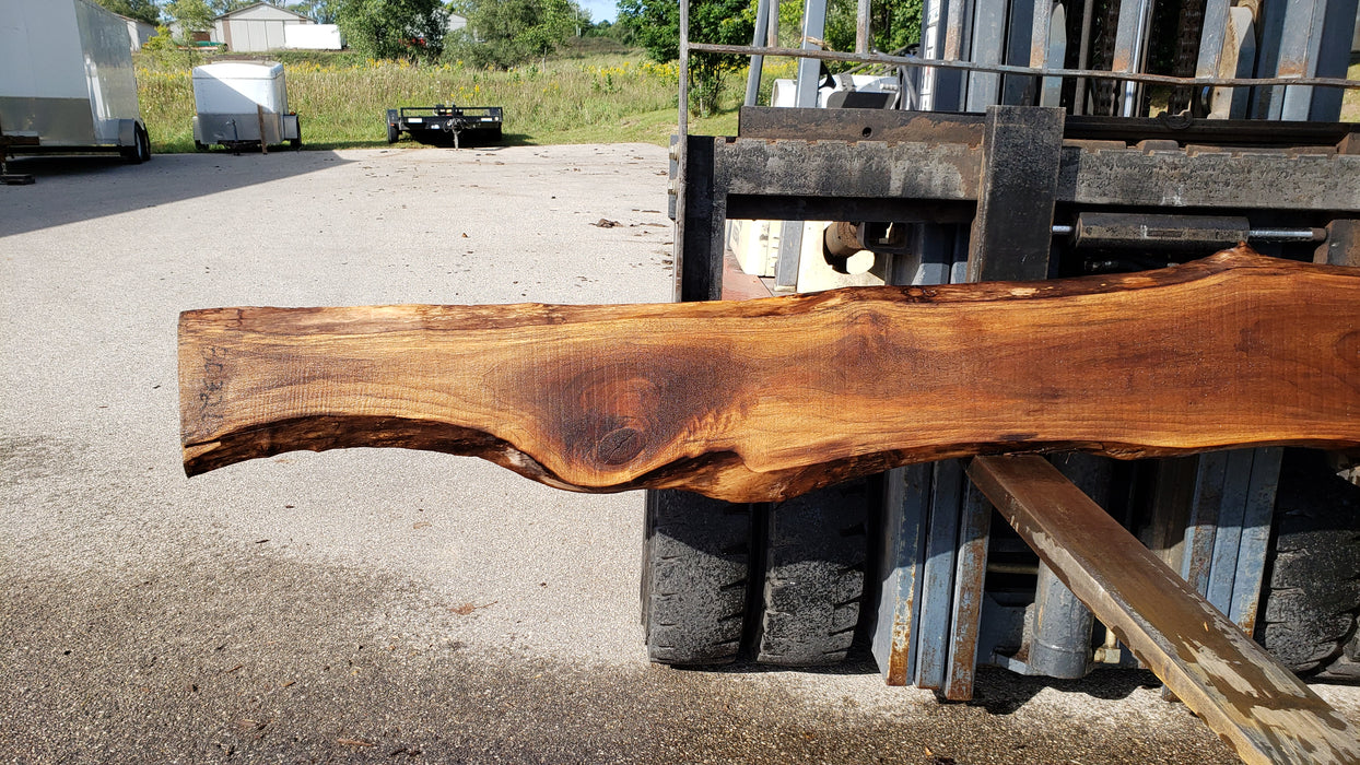 Walnut, American #8032 (LA) - 1-1/2" x 6" to 16" x 127" - FREE SHIPPING within the Contiguous US. freeshipping - Big Wood Slabs