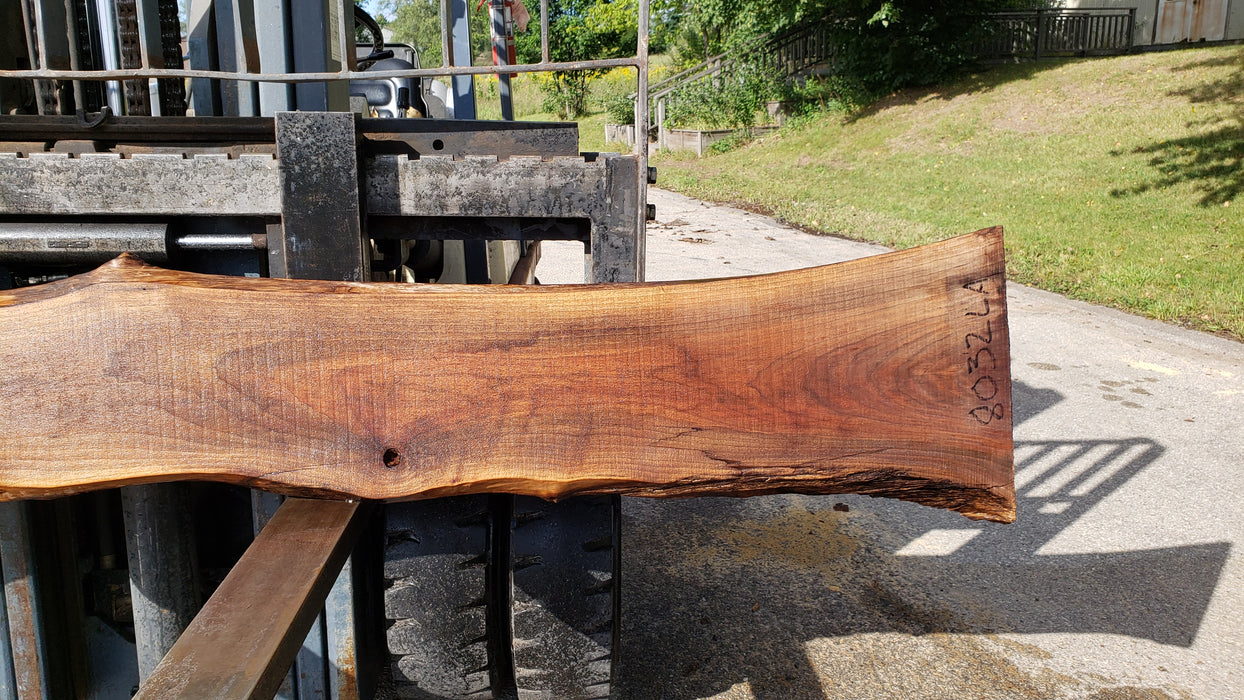 Walnut, American #8032 (LA) - 1-1/2" x 6" to 16" x 127" - FREE SHIPPING within the Contiguous US. freeshipping - Big Wood Slabs