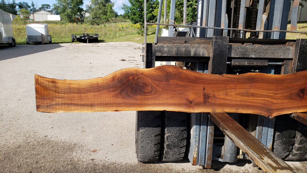 Walnut, American #8032 (LA) - 1-1/2" x 6" to 16" x 127" - FREE SHIPPING within the Contiguous US. freeshipping - Big Wood Slabs