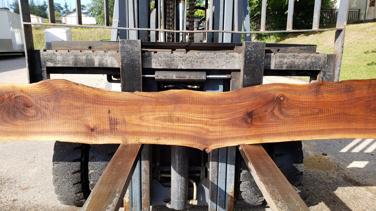 Walnut, American #8032 (LA) - 1-1/2" x 6" to 16" x 127" - FREE SHIPPING within the Contiguous US. freeshipping - Big Wood Slabs