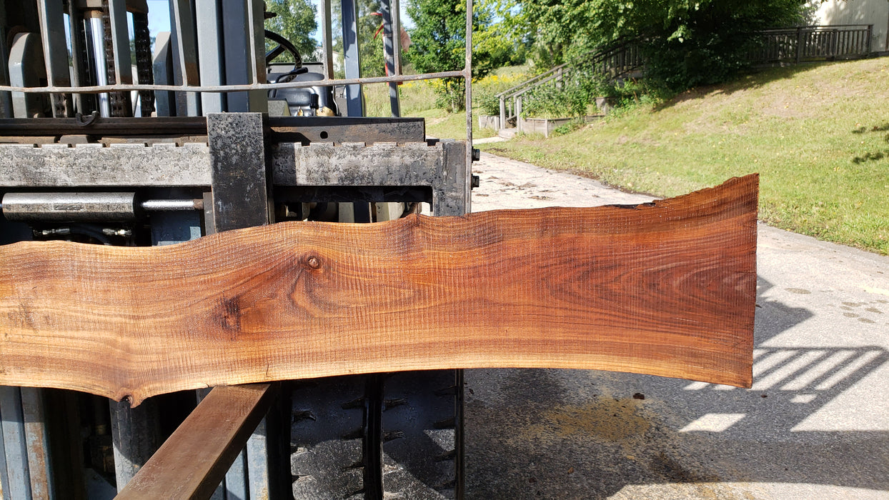 Walnut, American #8032 (LA) - 1-1/2" x 6" to 16" x 127" - FREE SHIPPING within the Contiguous US. freeshipping - Big Wood Slabs