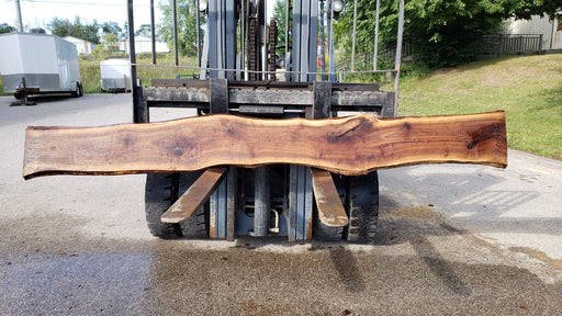 Walnut, American #8033 (LA) - 1-1/2" x 11" to 15" x 128" - FREE SHIPPING within the Contiguous US. freeshipping - Big Wood Slabs