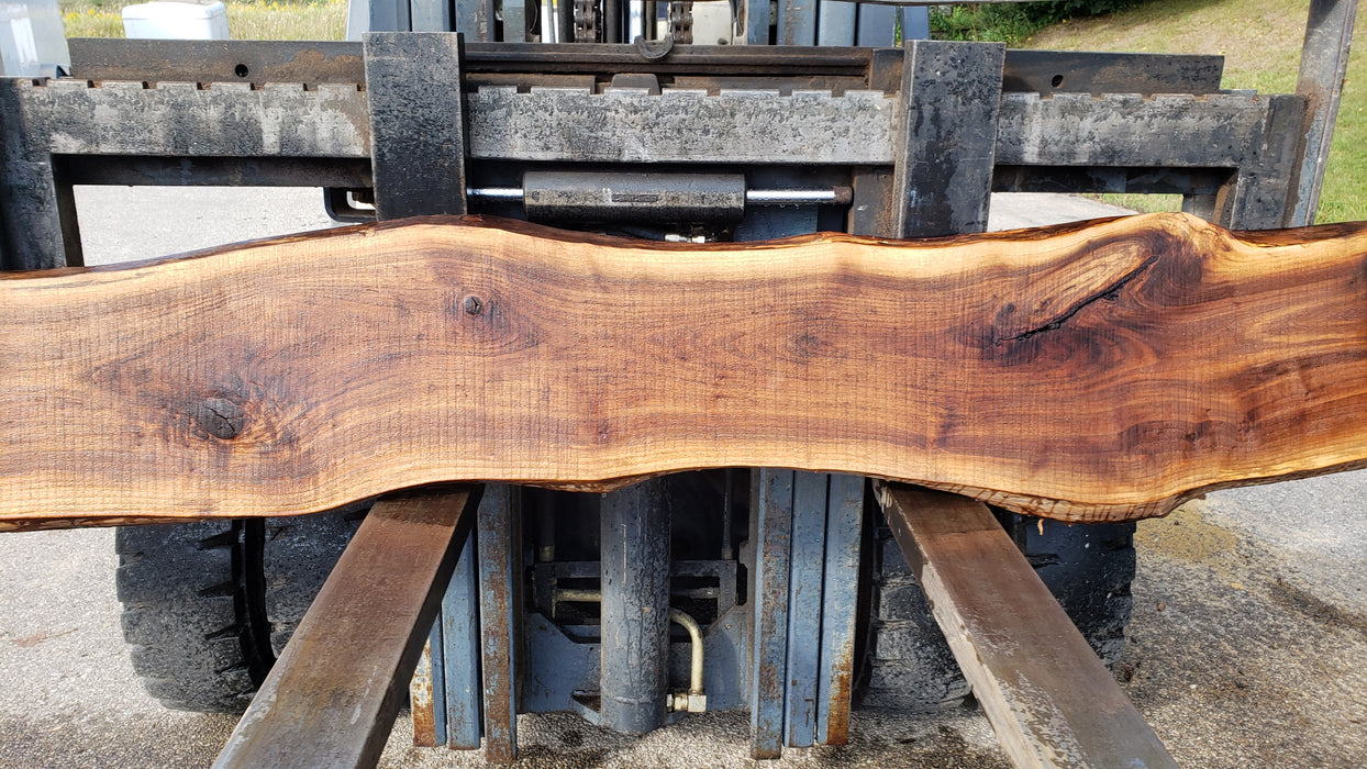 Walnut, American #8033 (LA) - 1-1/2" x 11" to 15" x 128" - FREE SHIPPING within the Contiguous US. freeshipping - Big Wood Slabs
