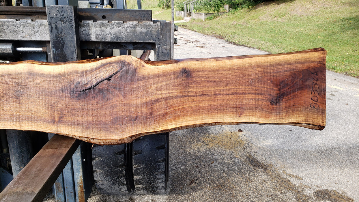 Walnut, American #8033 (LA) - 1-1/2" x 11" to 15" x 128" - FREE SHIPPING within the Contiguous US. freeshipping - Big Wood Slabs