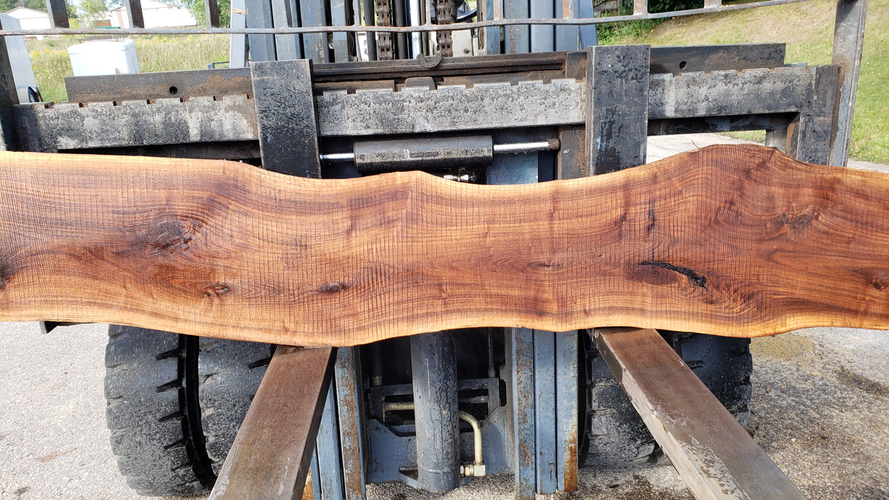 Walnut, American #8033 (LA) - 1-1/2" x 11" to 15" x 128" - FREE SHIPPING within the Contiguous US. freeshipping - Big Wood Slabs