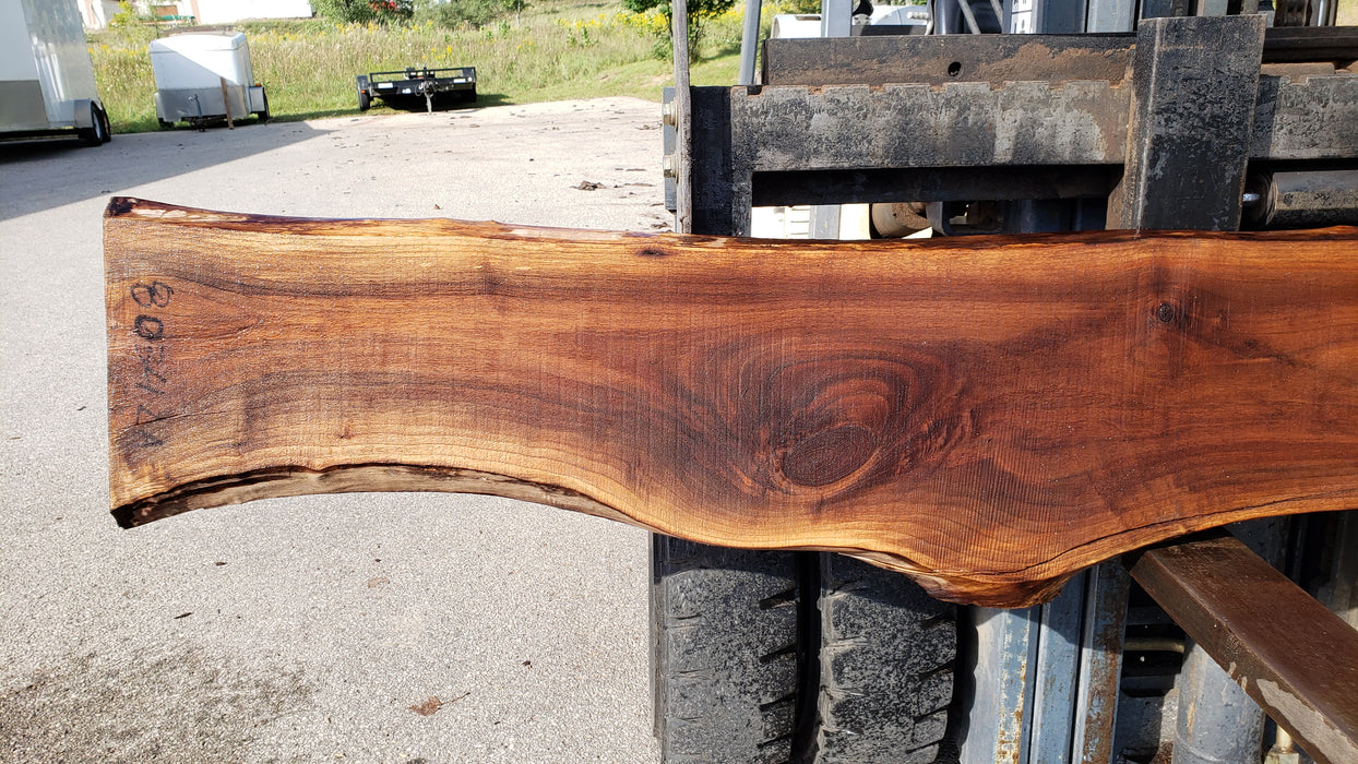 Walnut, American #8034 (LA) - 1-1/2" x 10" to 18" x 127" - FREE SHIPPING within the Contiguous US. freeshipping - Big Wood Slabs