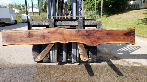 Walnut, American #8035 (LA) - 1-1/2" x 13" to 15" x 128" - FREE SHIPPING within the Contiguous US. freeshipping - Big Wood Slabs