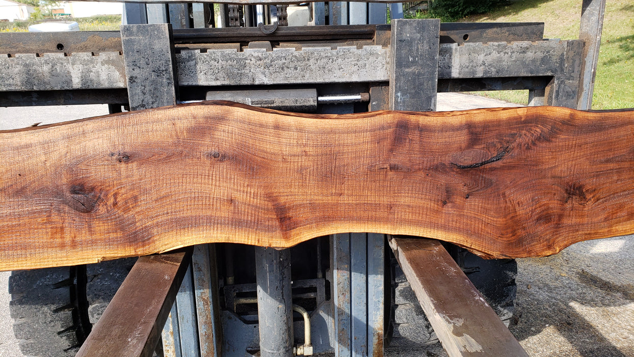 Walnut, American #8035 (LA) - 1-1/2" x 13" to 15" x 128" - FREE SHIPPING within the Contiguous US. freeshipping - Big Wood Slabs