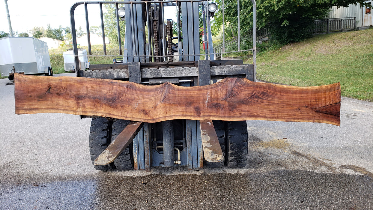 Walnut, American #8035 (LA) - 1-1/2" x 13" to 15" x 128" - FREE SHIPPING within the Contiguous US. freeshipping - Big Wood Slabs