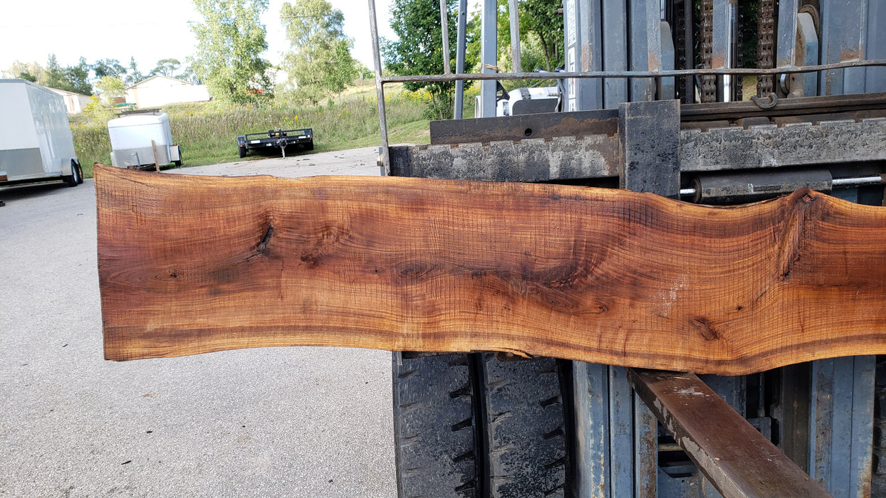 Walnut, American #8035 (LA) - 1-1/2" x 13" to 15" x 128" - FREE SHIPPING within the Contiguous US. freeshipping - Big Wood Slabs
