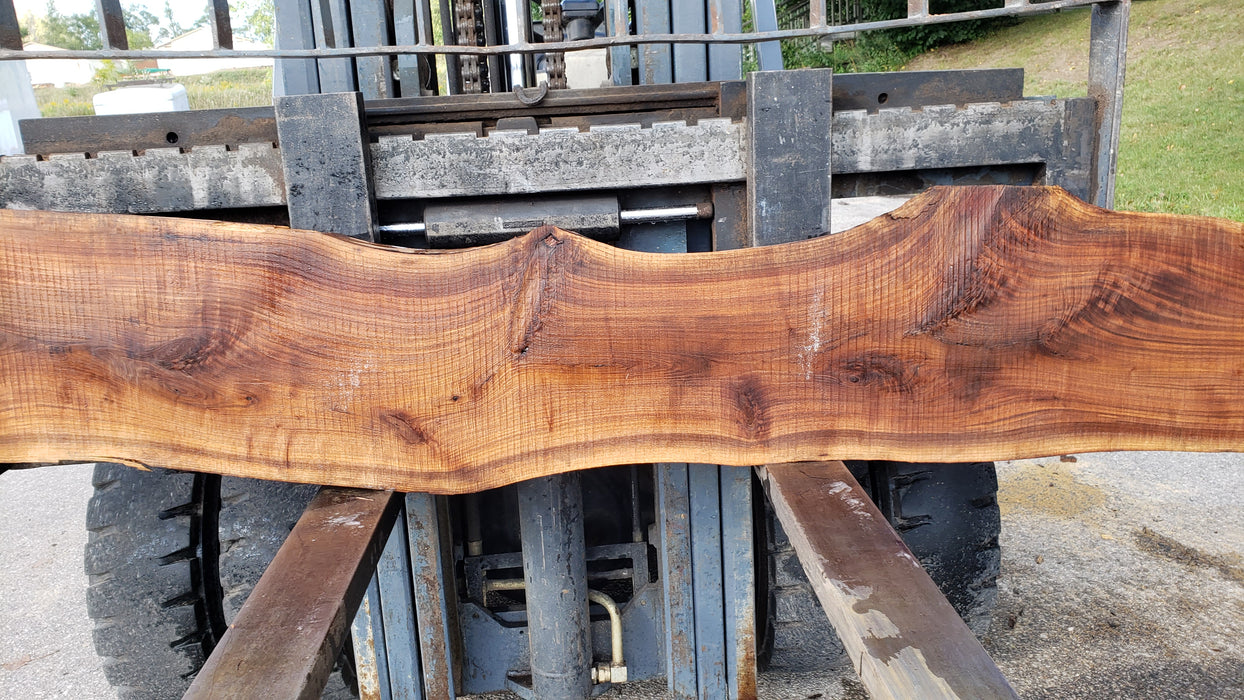 Walnut, American #8035 (LA) - 1-1/2" x 13" to 15" x 128" - FREE SHIPPING within the Contiguous US. freeshipping - Big Wood Slabs