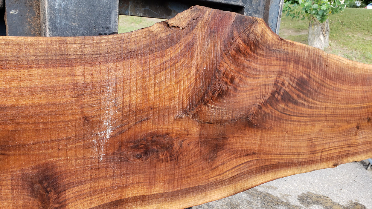 Walnut, American #8035 (LA) - 1-1/2" x 13" to 15" x 128" - FREE SHIPPING within the Contiguous US. freeshipping - Big Wood Slabs