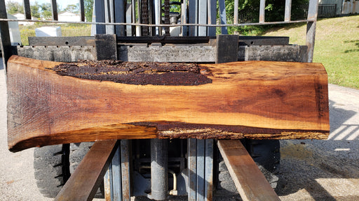 Walnut, American #8036 (LA) - 2-1/2" x 9" to 18" x 70" - FREE SHIPPING within the Contiguous US. freeshipping - Big Wood Slabs