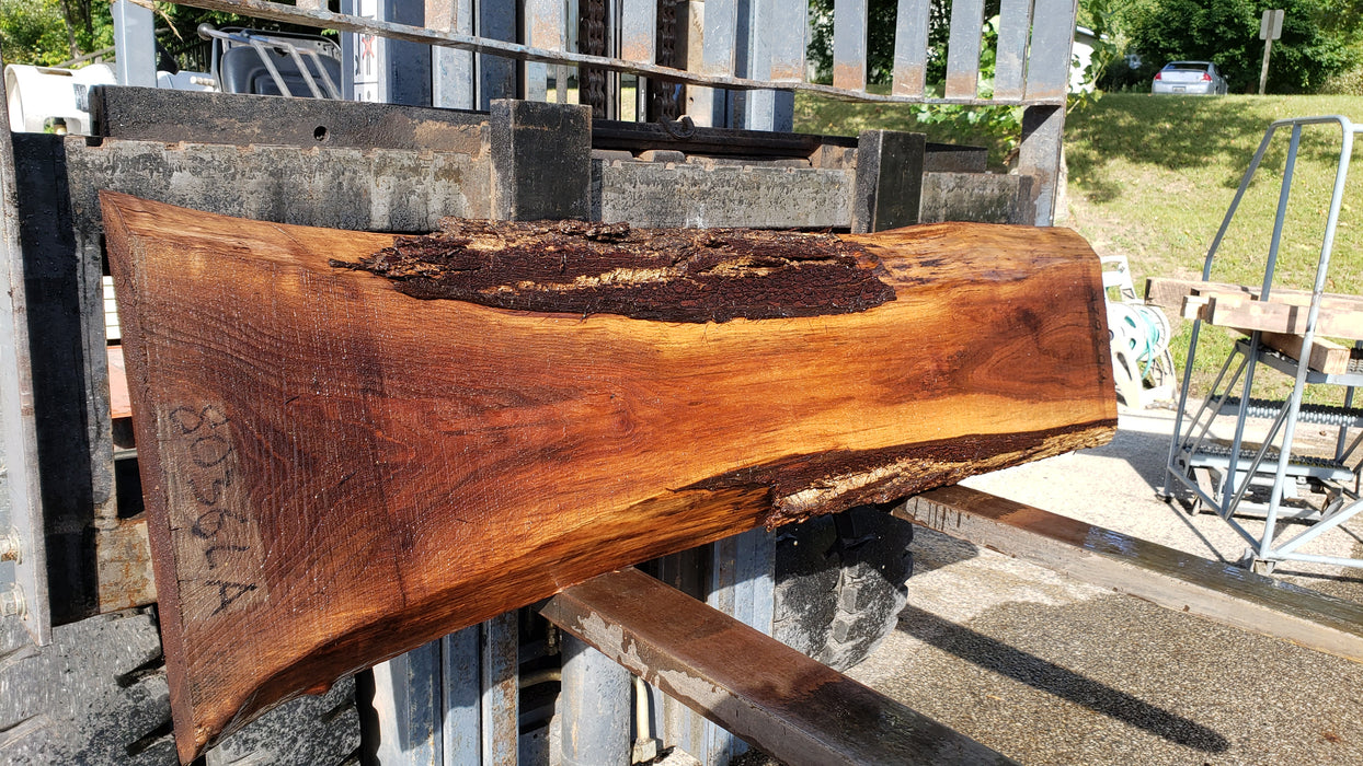 Walnut, American #8036 (LA) - 2-1/2" x 9" to 18" x 70" - FREE SHIPPING within the Contiguous US. freeshipping - Big Wood Slabs