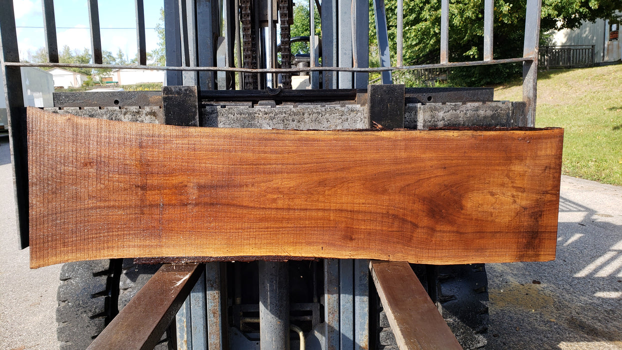 Walnut, American #8036 (LA) - 2-1/2" x 9" to 18" x 70" - FREE SHIPPING within the Contiguous US. freeshipping - Big Wood Slabs