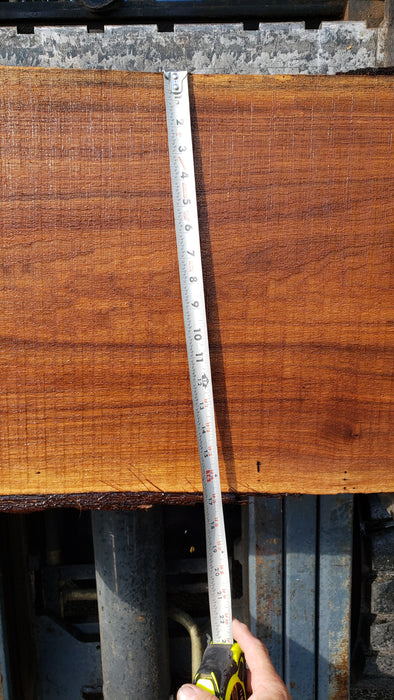 Walnut, American #8036 (LA) - 2-1/2" x 9" to 18" x 70" - FREE SHIPPING within the Contiguous US. freeshipping - Big Wood Slabs