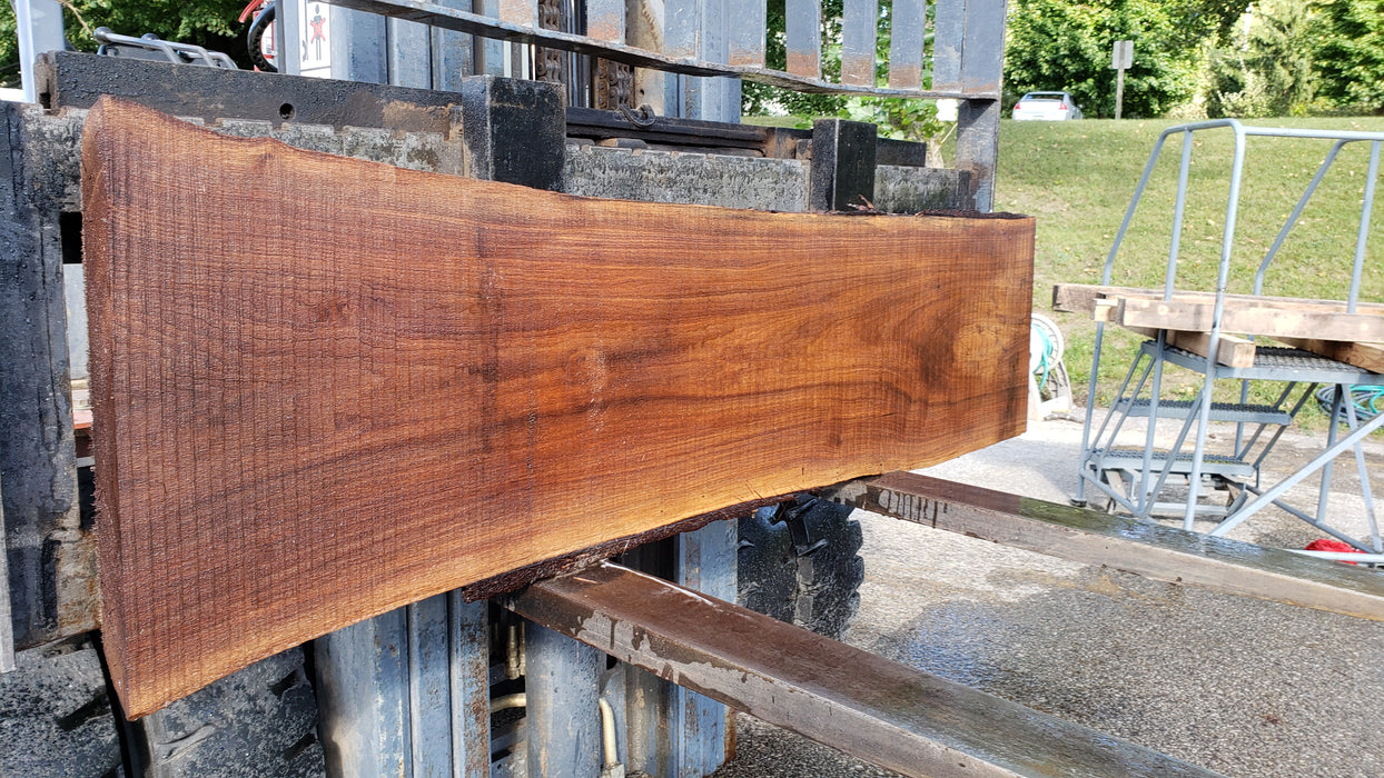 Walnut, American #8036 (LA) - 2-1/2" x 9" to 18" x 70" - FREE SHIPPING within the Contiguous US. freeshipping - Big Wood Slabs