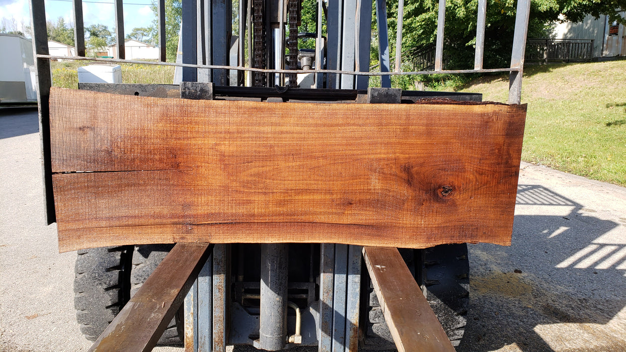 Walnut, American #8037 (LA) - 2-1/2" x 17" to 22" x 68" - FREE SHIPPING within the Contiguous US. freeshipping - Big Wood Slabs