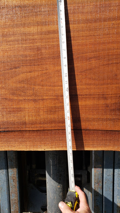 Walnut, American #8037 (LA) - 2-1/2" x 17" to 22" x 68" - FREE SHIPPING within the Contiguous US. freeshipping - Big Wood Slabs