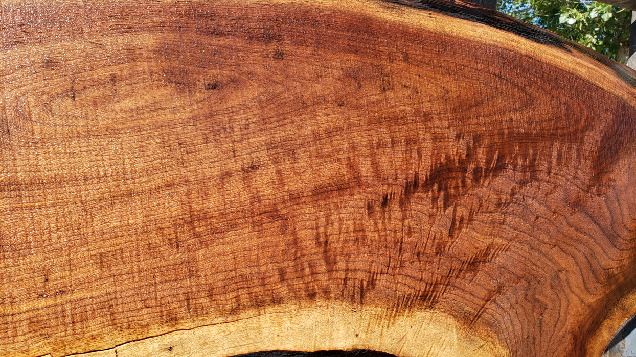 Walnut, American #8038 (LA) - 2-1/4" x 19" x 61" - FREE SHIPPING within the Contiguous US. freeshipping - Big Wood Slabs