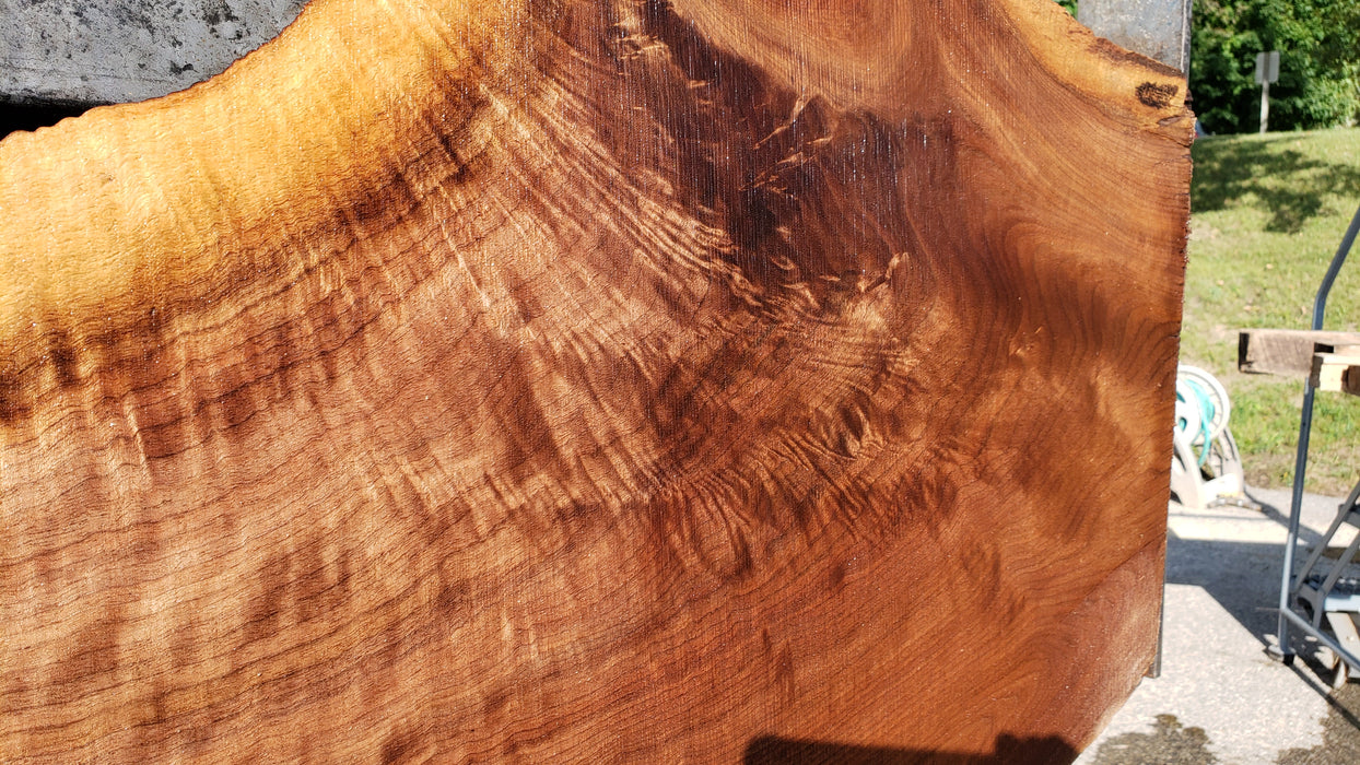 Walnut, American #8038 (LA) - 2-1/4" x 19" x 61" - FREE SHIPPING within the Contiguous US. freeshipping - Big Wood Slabs