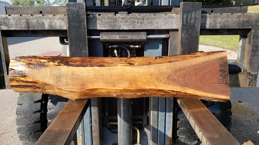 Walnut, American #8039 (LA) - 2-1/4" x 6" to 11" x 53" - FREE SHIPPING within the Contiguous US. freeshipping - Big Wood Slabs