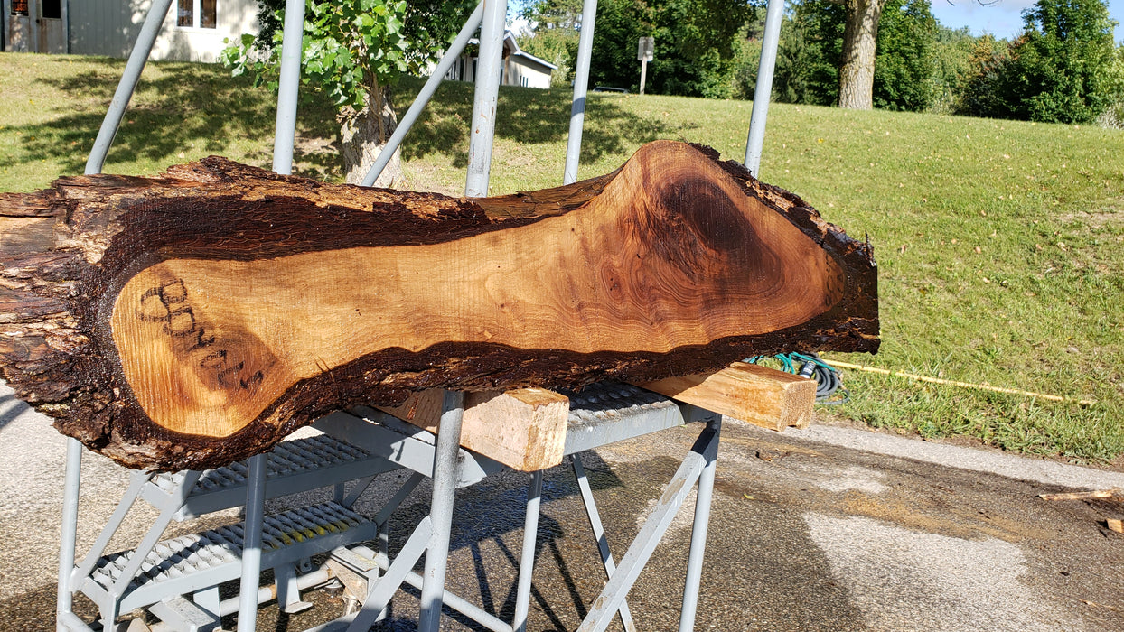 Walnut, American #8040 (LA) - 1-1/4" x 11" x 52" - FREE SHIPPING within the Contiguous US. freeshipping - Big Wood Slabs