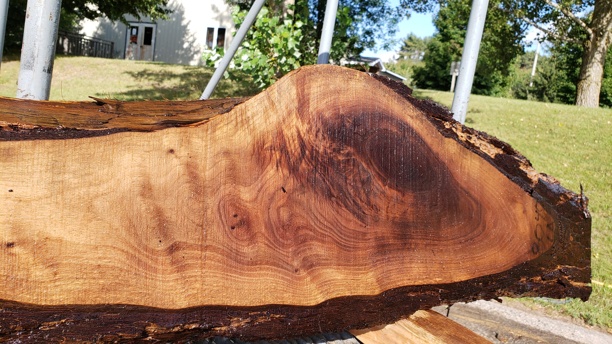 Walnut, American #8040 (LA) - 1-1/4" x 11" x 52" - FREE SHIPPING within the Contiguous US. freeshipping - Big Wood Slabs