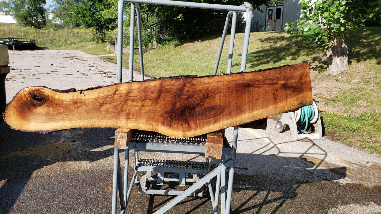 Walnut, American #8040 (LA) - 1-1/4" x 11" x 52" - FREE SHIPPING within the Contiguous US. freeshipping - Big Wood Slabs