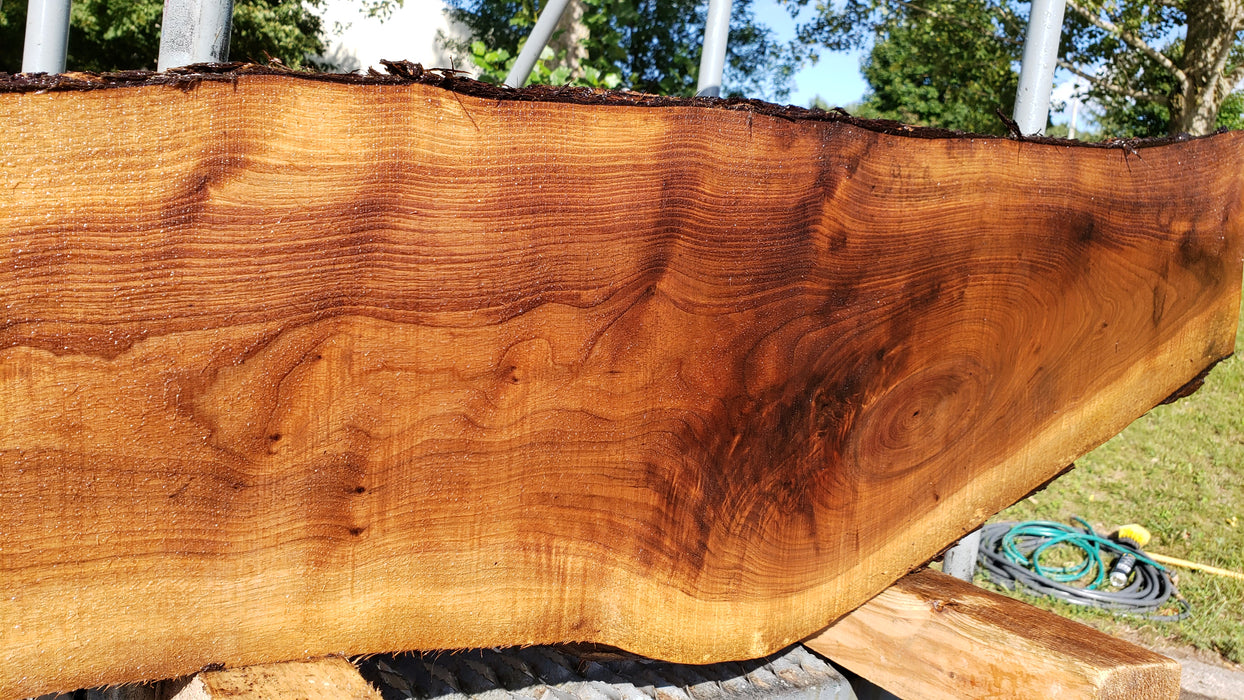 Walnut, American #8040 (LA) - 1-1/4" x 11" x 52" - FREE SHIPPING within the Contiguous US. freeshipping - Big Wood Slabs