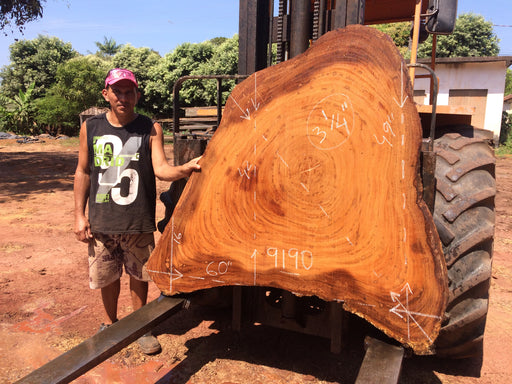 Angelim Pedra #9190 - 3-1/4" x 16" to 49" x 60" FREE SHIPPING within the Contiguous US. freeshipping - Big Wood Slabs