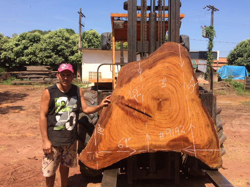 Angelim Pedra #9192 - 3" x 18" to 52" x 61" FREE SHIPPING within the Contiguous US. freeshipping - Big Wood Slabs