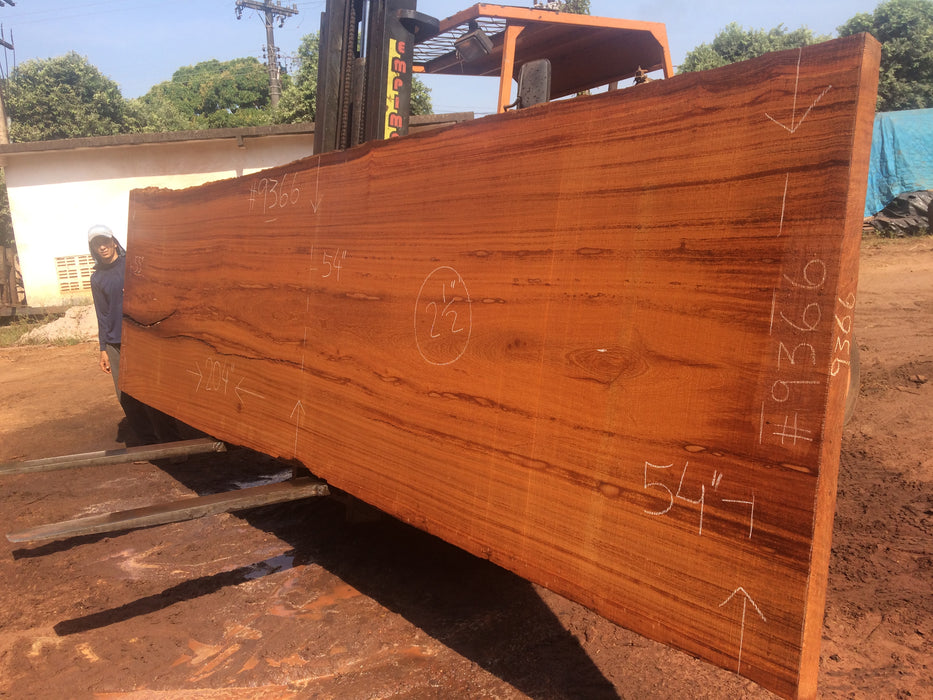 Angelim Pedra # 9366 - 2-1/2" x 54" to 55" x 204" FREE SHIPPING within the Contiguous US. freeshipping - Big Wood Slabs