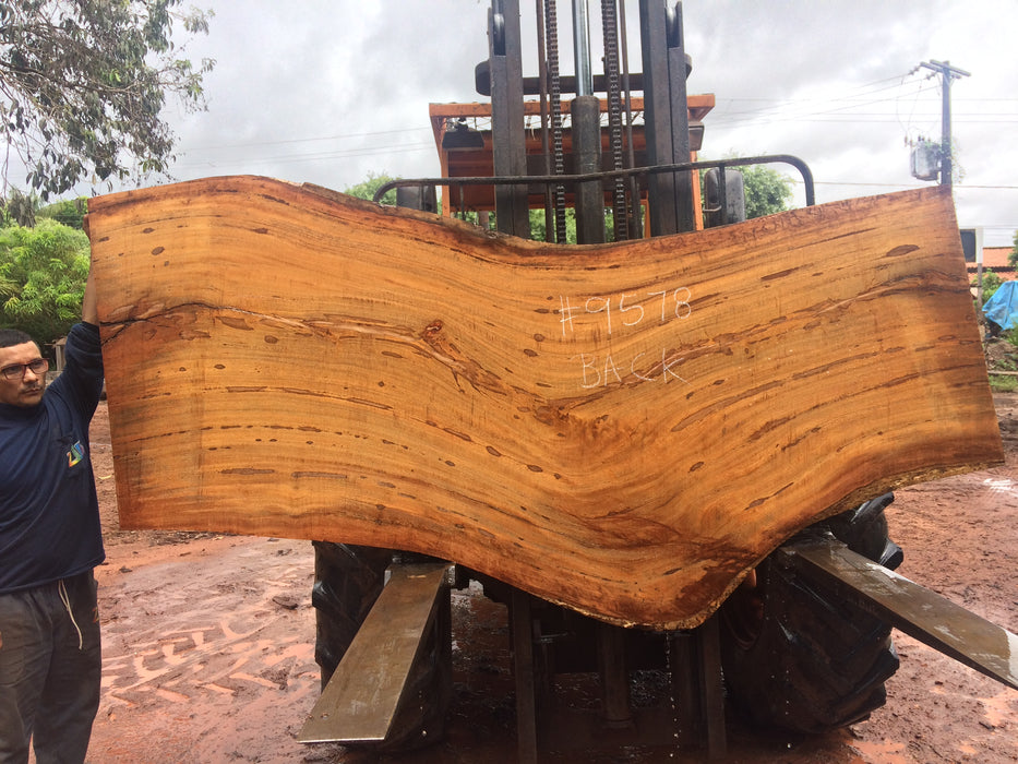 Angelim Pedra # 9578 - 2-1/4" x 34" to 46" x 102" FREE SHIPPING within the Contiguous US. freeshipping - Big Wood Slabs