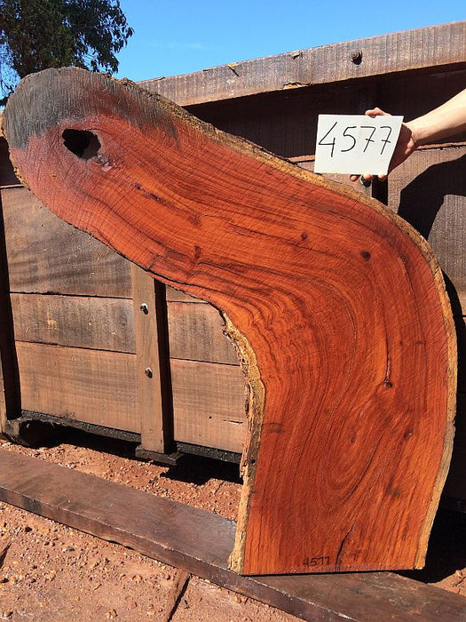 Cumaru / Brazilian Teak #4577 - 3-1/4" x 20" x 55" FREE SHIPPING within the Contiguous US. freeshipping - Big Wood Slabs