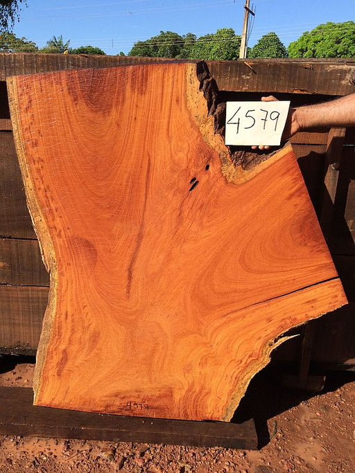 Cumaru / Brazilian Teak #4579 -1-1/2" x 30" to 38" x 47" FREE SHIPPING within the Contiguous US. freeshipping - Big Wood Slabs