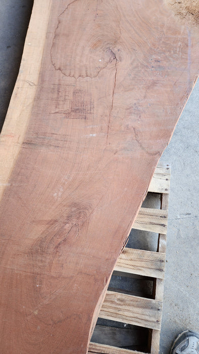 Jatoba / Brazilian Cherry #6763 - 3" x 19" to 37" x 142" FREE SHIPPING within the Contiguous US.