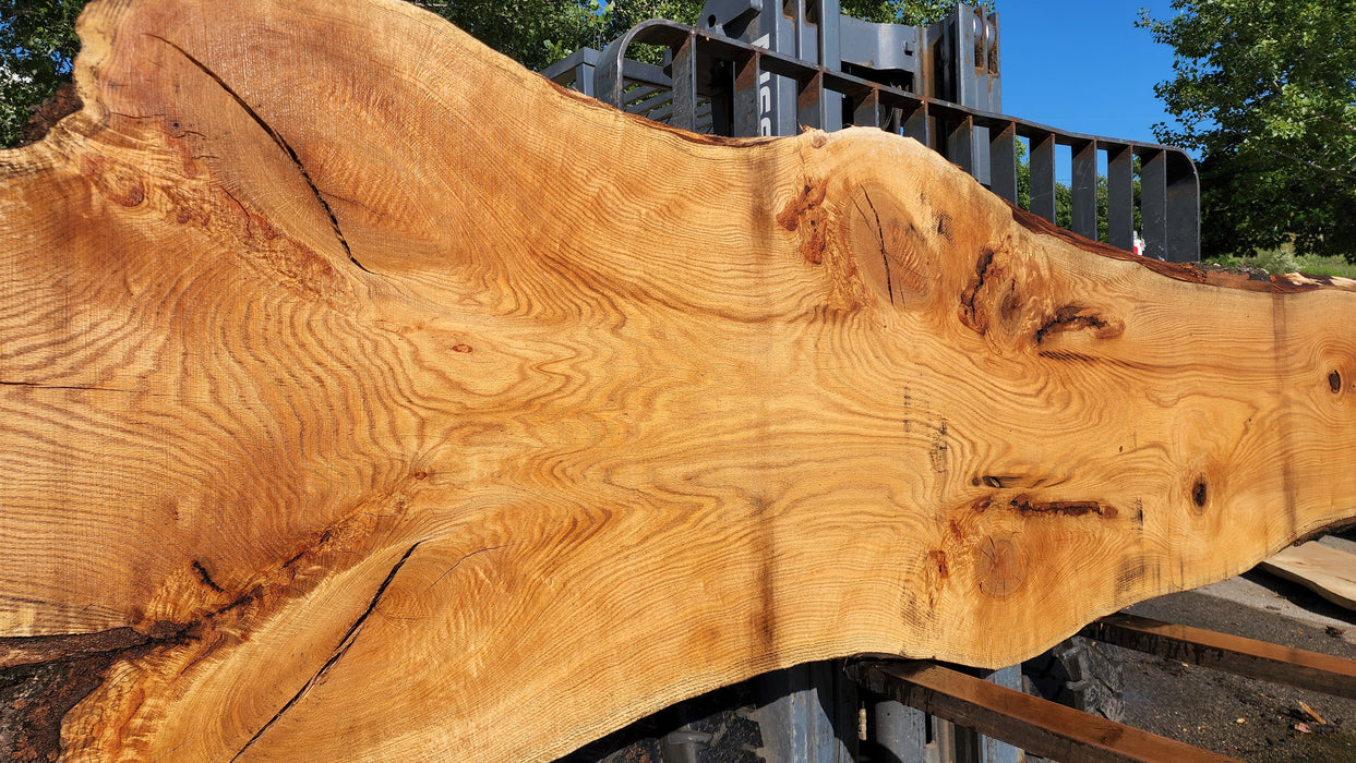 Red Oak #8063(OC) - 2-1/4" x 20" to 46" x 164" FREE SHIPPING within the Contiguous US.