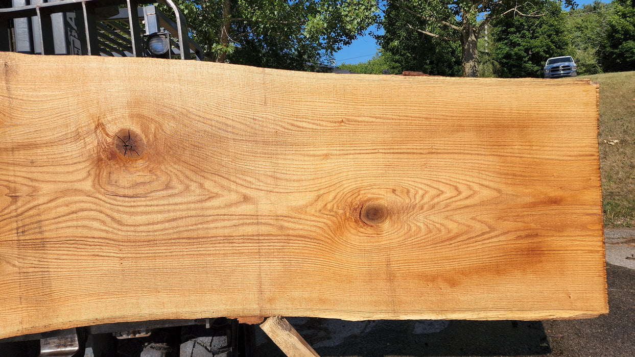 Red Oak #8063(OC) - 2-1/4" x 20" to 46" x 164" FREE SHIPPING within the Contiguous US.