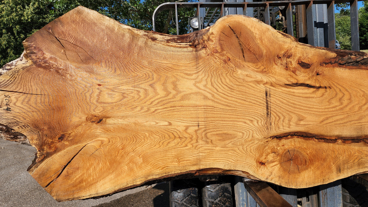 Red Oak #8064(OC) - 2-1/2" x 11" to 47" x 165" FREE SHIPPING within the Contiguous US.