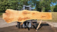 Red Oak #8064(OC) - 2-1/2" x 11" to 47" x 165" FREE SHIPPING within the Contiguous US.