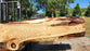 Red Oak #8065(OC) - 2-1/2" x 7" to 46" x 153" FREE SHIPPING within the Contiguous US.