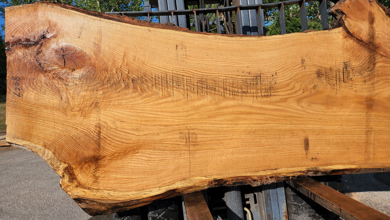 Red Oak #8067(OC) - 2-1/2" x 30" to 43" x 120" FREE SHIPPING within the Contiguous US.