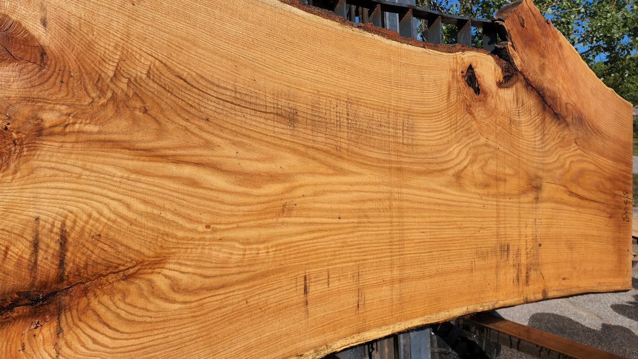 Red Oak #8068(OC) - 2-1/4" x 33" to 50" x 119" FREE SHIPPING within the Contiguous US.