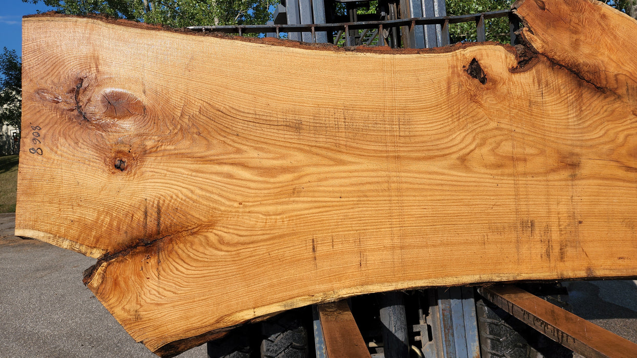 Red Oak #8068(OC) - 2-1/4" x 33" to 50" x 119" FREE SHIPPING within the Contiguous US.