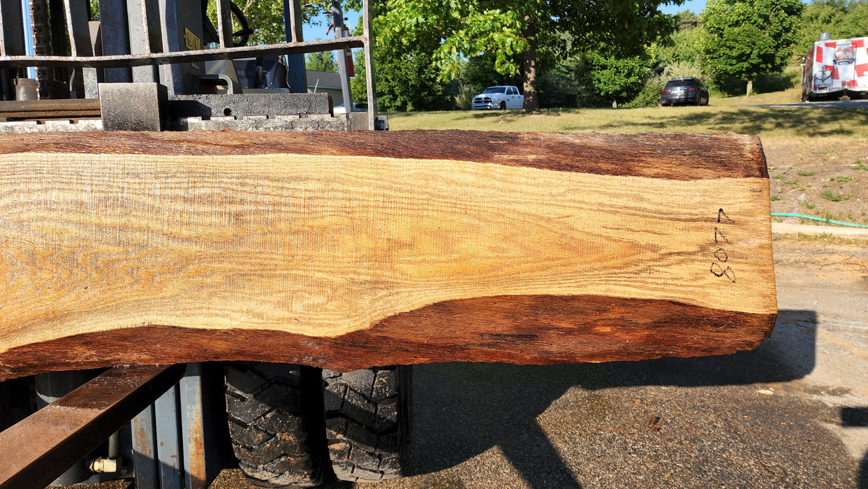 Red Oak #8077(OC) - 1-1/4" x 11" to 18" x 121" FREE SHIPPING within the Contiguous US.