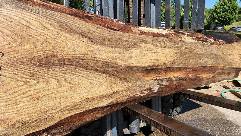 Red Oak #8080(OC) - 3-1/4" x 10" to 33" x 116" FREE SHIPPING within the Contiguous US.