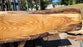 Red Oak #8081(OC) - 2-3/4" x 8" to 35" x 120" FREE SHIPPING within the Contiguous US.
